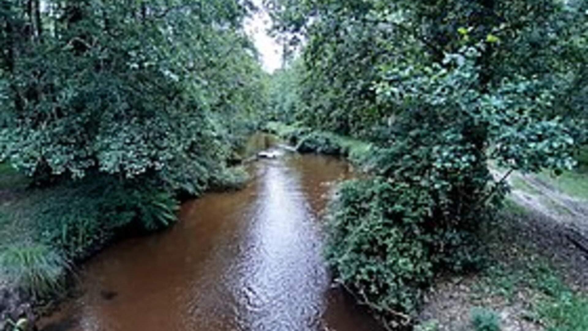 Ruisseau_Escource_2.jpg